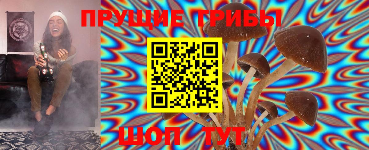 Кузнецк  Псилоцибиновые грибы Cubensis  Галлюциногенные грибы MAGIC MUSHROOMS  Вход с VPN 