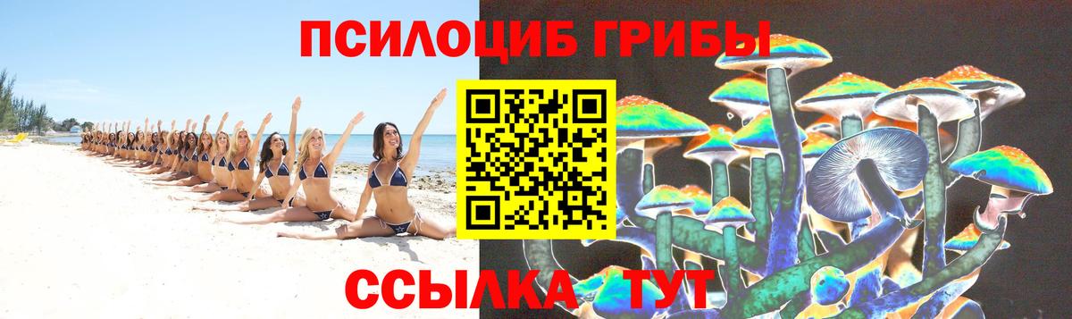 Галлюциногенные грибы мухоморы Кузнецк